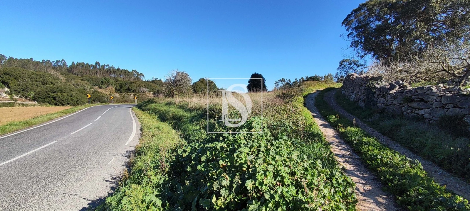 Terreno para Venda em Reguengo Grande Foto 6