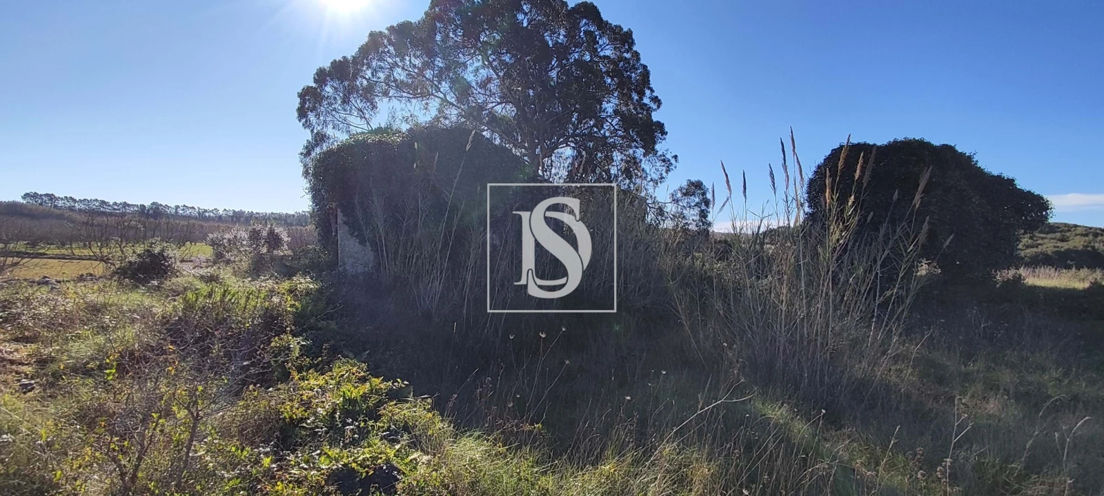 Terreno para Venda em Reguengo Grande Foto 14