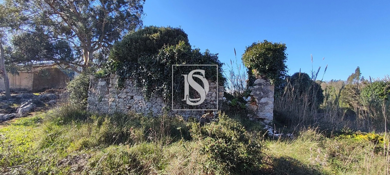 Terreno para Venda em Reguengo Grande Foto 12