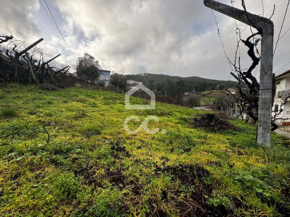 Terreno para Venda em Boticas e Granja Foto 2