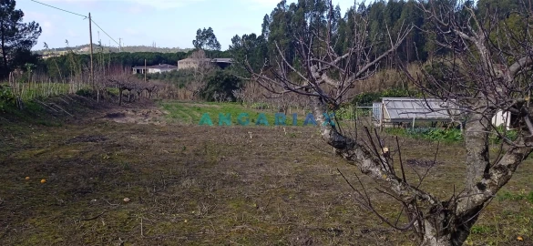 Terreno para Venda em Leiria, Pousos, Barreira e Cortes