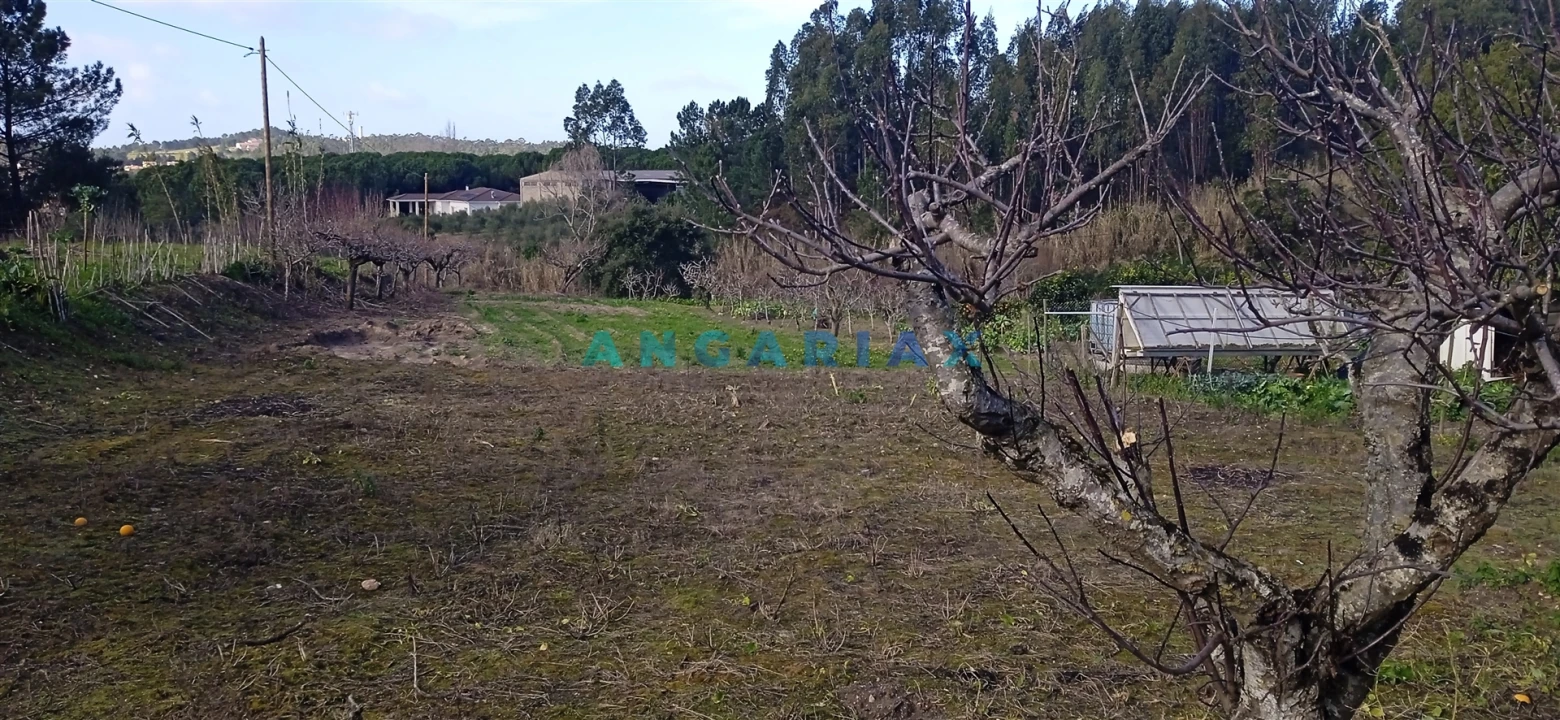 Terreno para Venda em Leiria, Pousos, Barreira e Cortes Foto 4