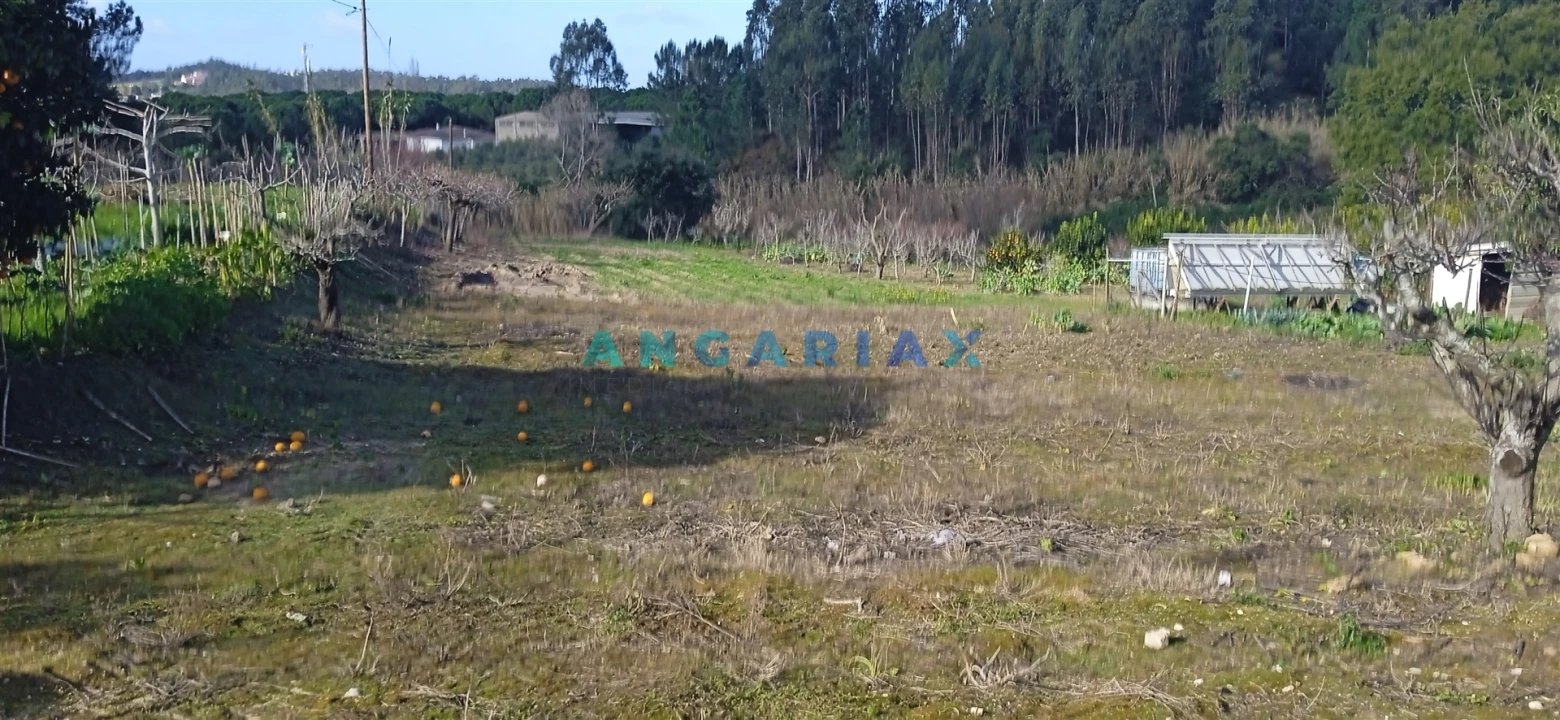 Terreno para Venda em Leiria, Pousos, Barreira e Cortes Foto 1
