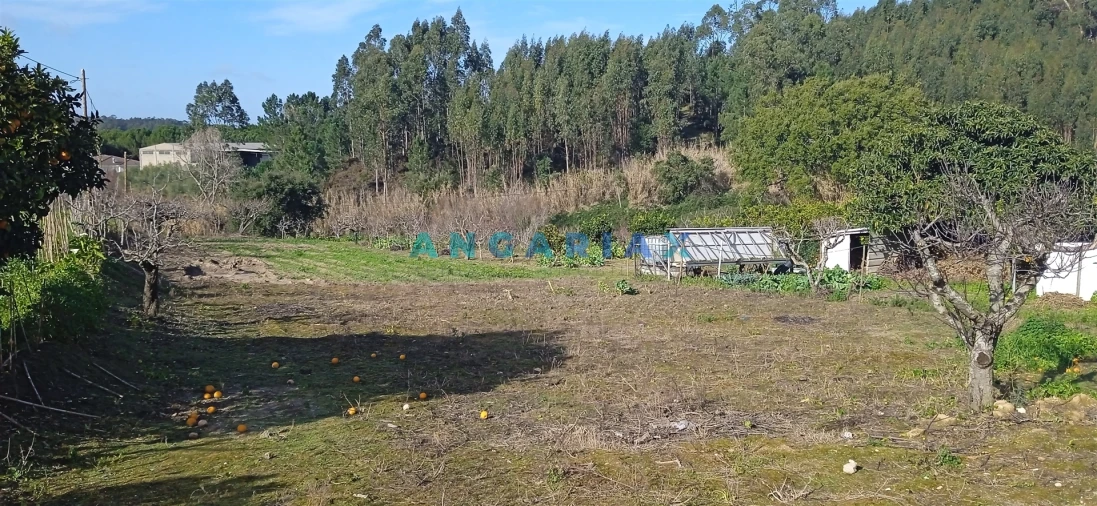 Terreno para Venda em Leiria, Pousos, Barreira e Cortes Foto 2