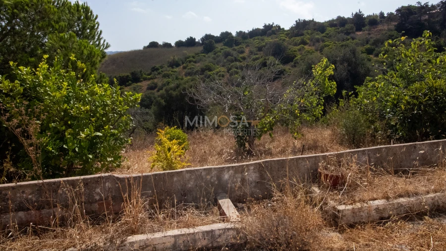 Quinta T4 para Venda em Lagos (São Sebastião e Santa Maria) Foto 9