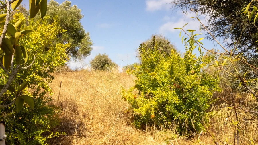Quinta T4 para Venda em Lagos (São Sebastião e Santa Maria) Foto 10