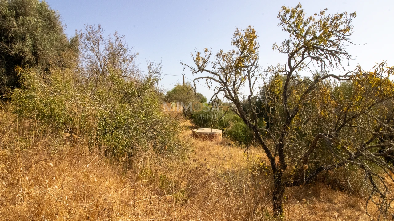 Quinta T4 para Venda em Lagos (São Sebastião e Santa Maria) Foto 7