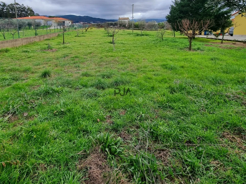 Terreno para Venda em Nespereira Foto 2