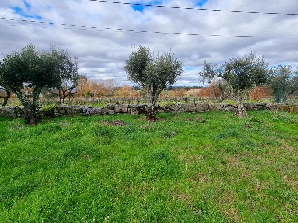Terreno para Venda em Nespereira Foto 3