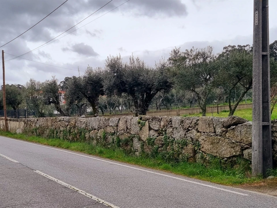 Terreno para Venda em Nespereira Foto 5