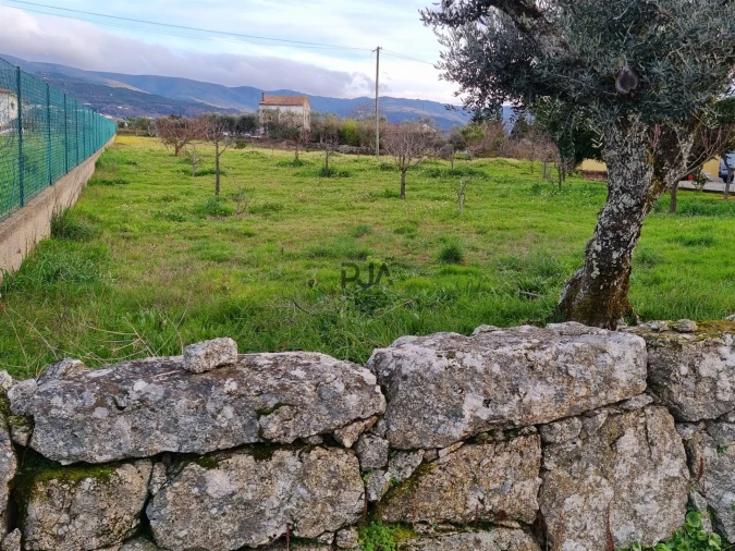 Terreno para Venda em Nespereira Foto 1