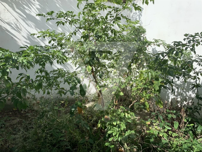 Loja para Arrendamento em Matosinhos e Leça da Palmeira Foto 10