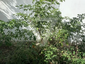 Loja para Venda em Matosinhos e Leça da Palmeira