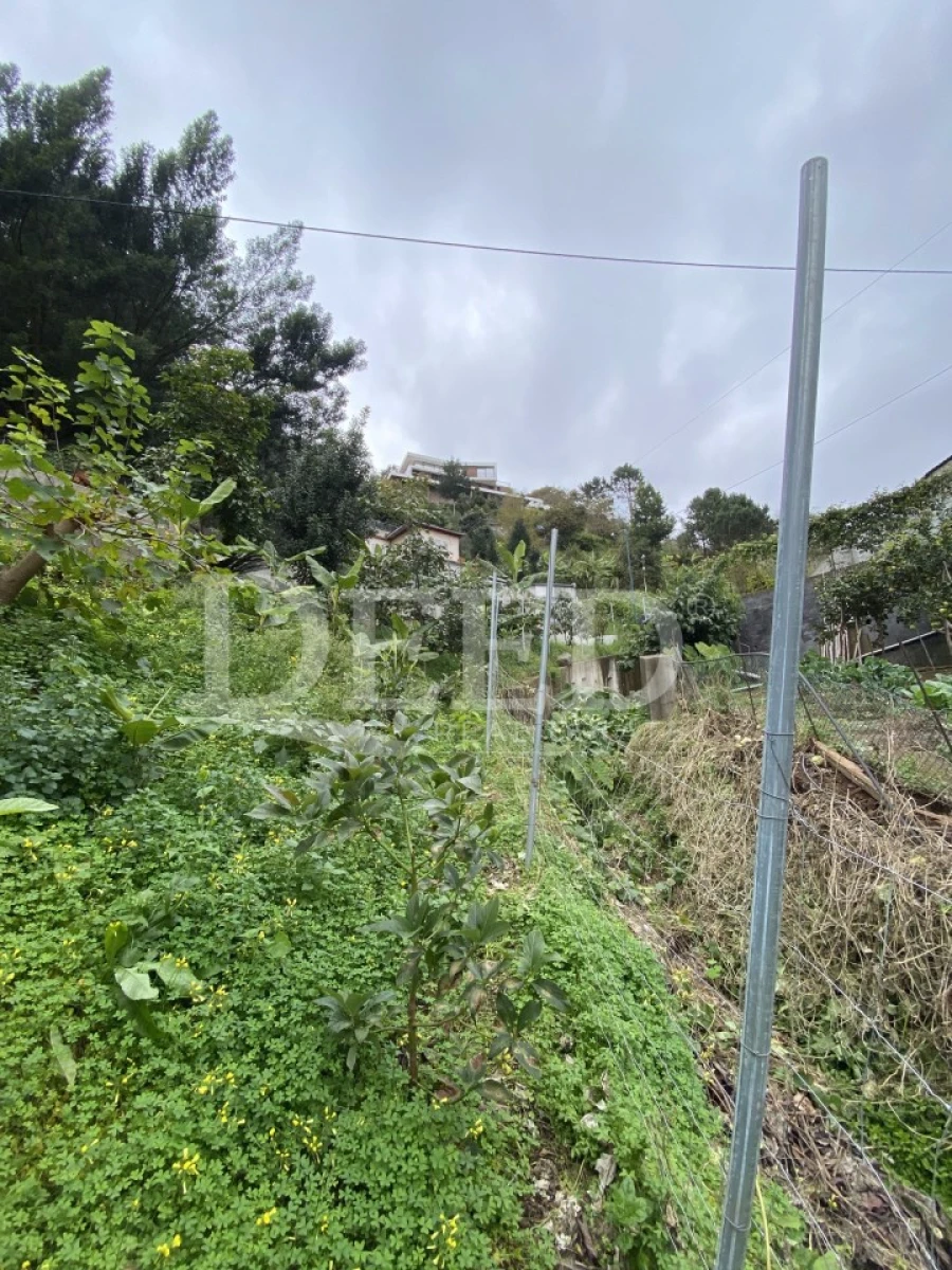Terreno Agricola ou Rústico para Venda em Santo Antonio Foto 8