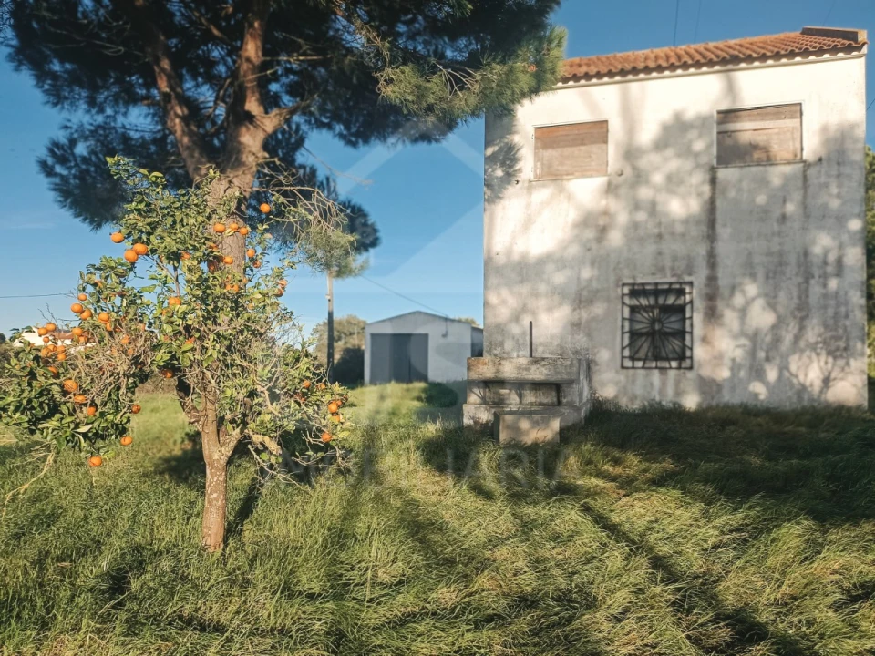 Moradia T2 para Venda em Samora Correia Foto 3