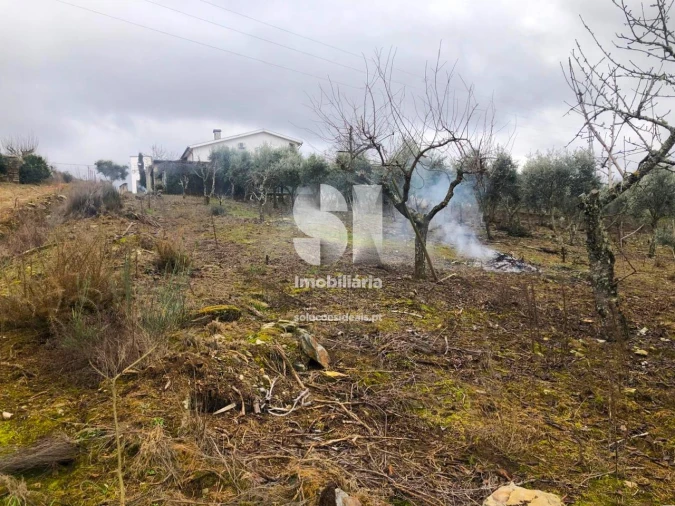 Quinta T5 para Venda em Alijo Foto 35