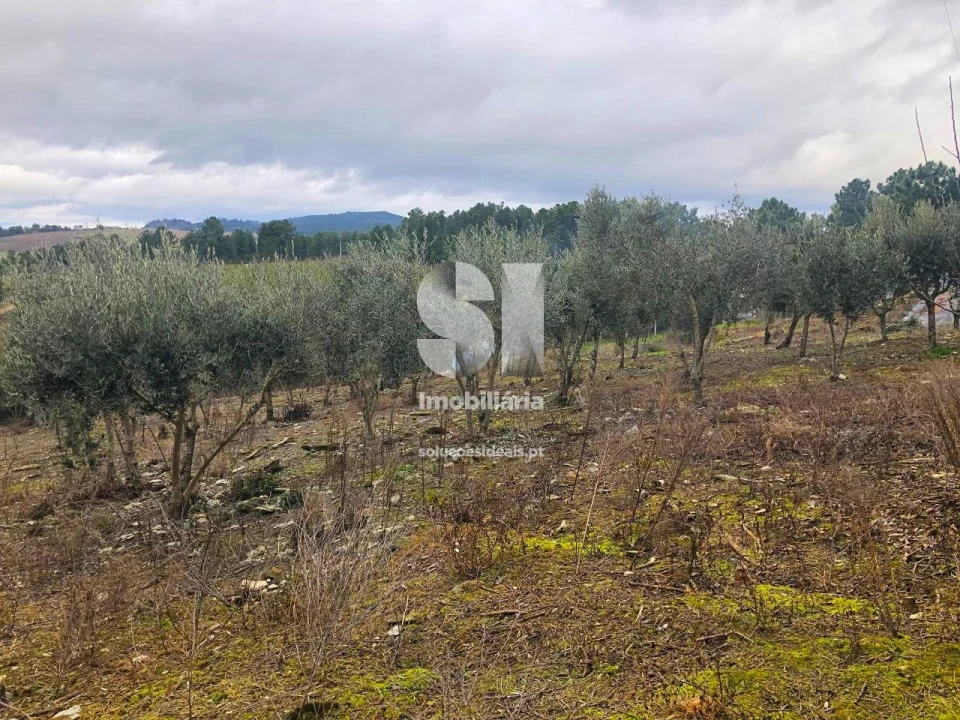 Quinta T5 para Venda em Alijo Foto 37