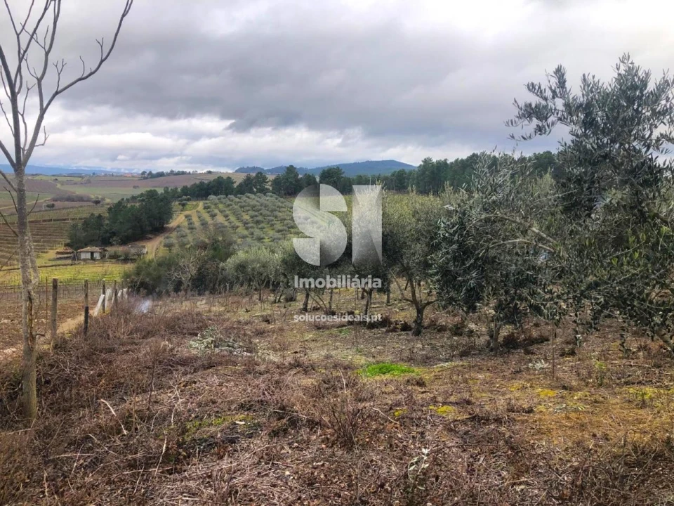 Quinta T5 para Venda em Alijo Foto 33