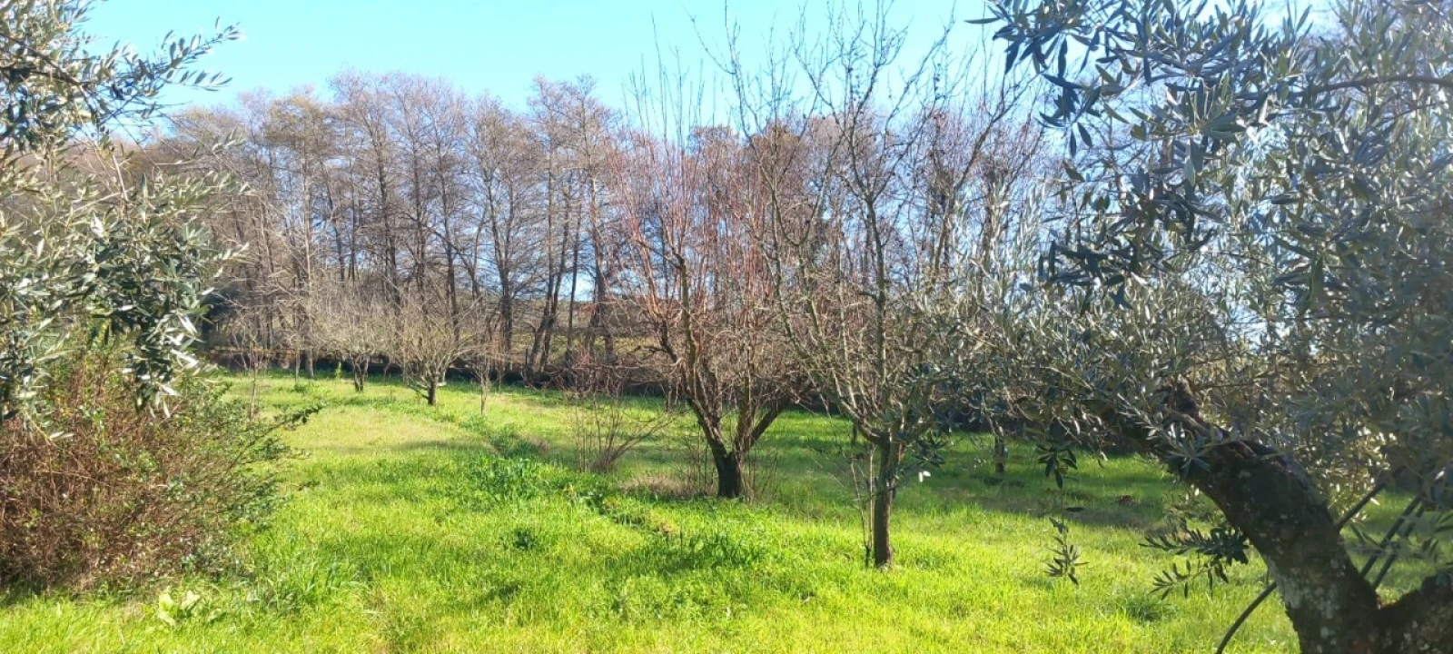 Moradia T2 para Venda em Alegrete Foto 28