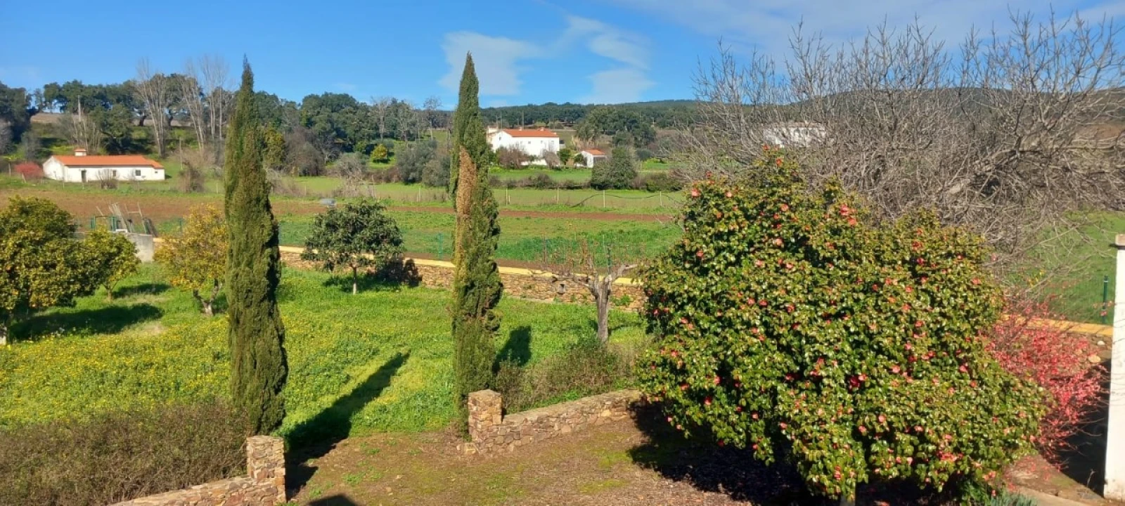 Moradia T2 para Venda em Alegrete Foto 42