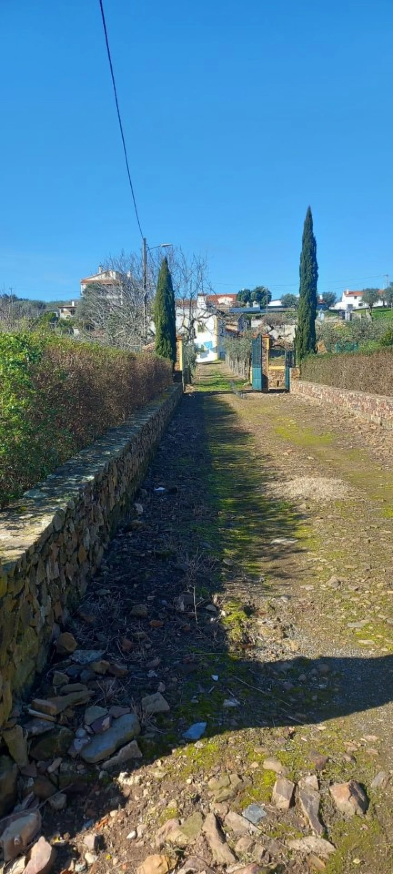 Moradia T2 para Venda em Alegrete Foto 68