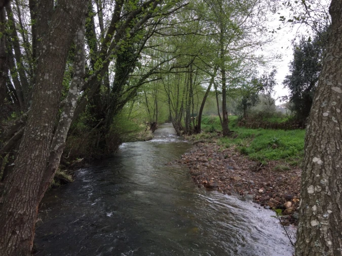 Moradia T2 para Venda em Alegrete Foto 14