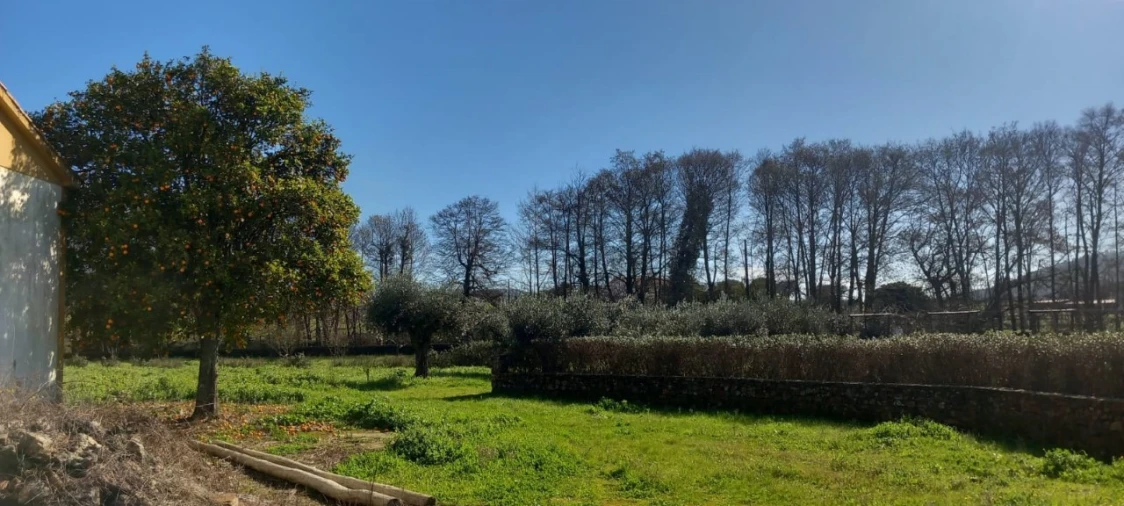 Moradia T2 para Venda em Alegrete Foto 18