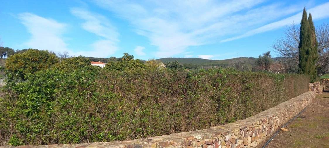 Moradia T2 para Venda em Alegrete Foto 20