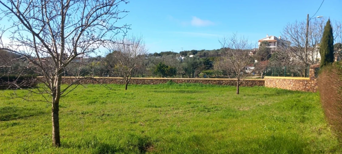 Moradia T2 para Venda em Alegrete Foto 66