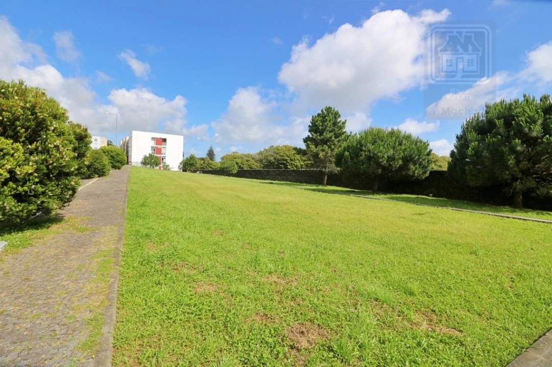 Terreno para Venda em Rosto do Cão (Livramento) Foto 8