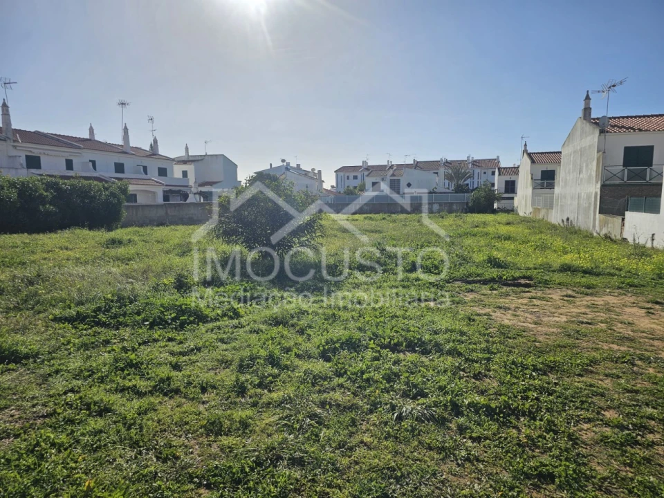Terreno para Venda em Altura Foto 3
