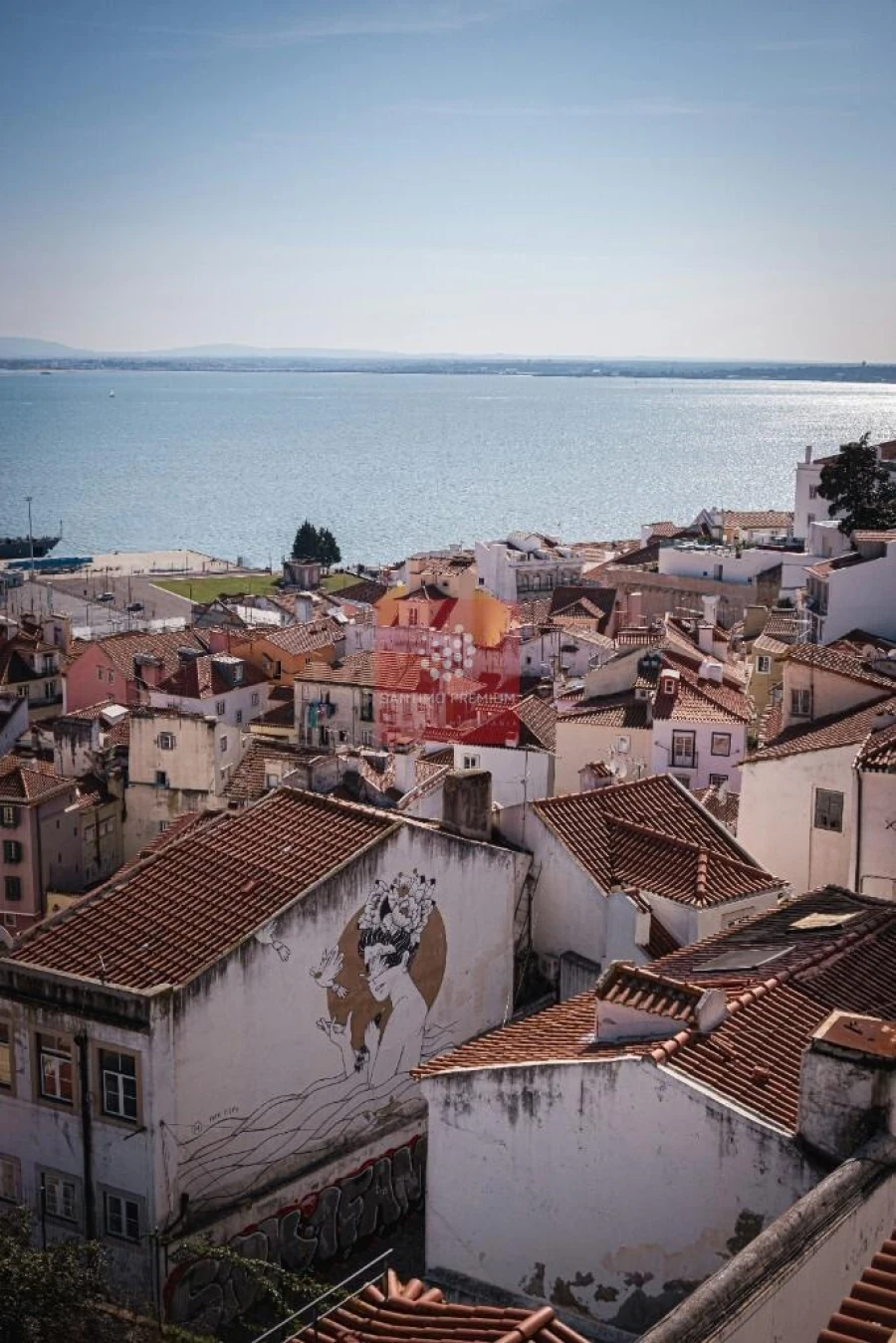 Apartamento T1 para Venda em Santa Maria Maior Foto 15