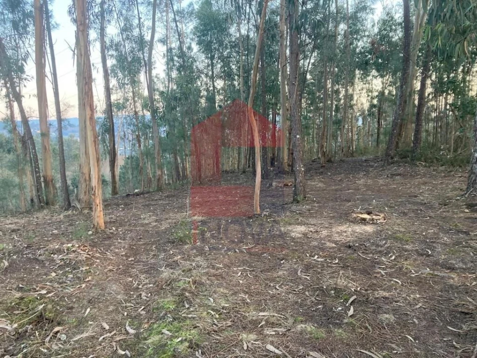 Terreno para Venda em Sabariz Foto 22