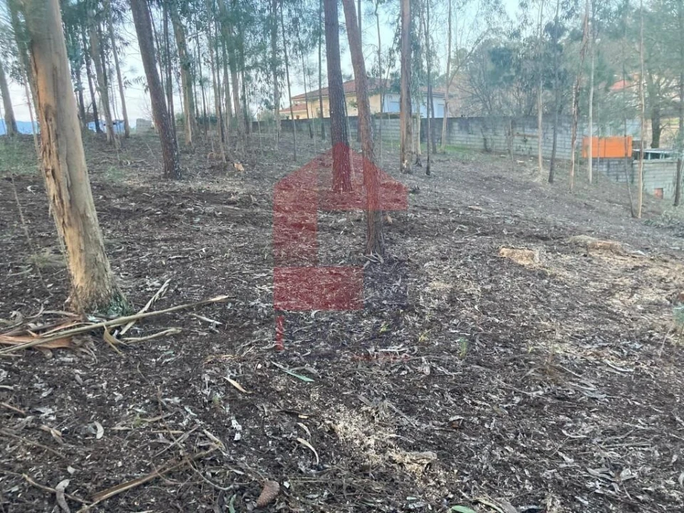 Terreno para Venda em Sabariz Foto 8