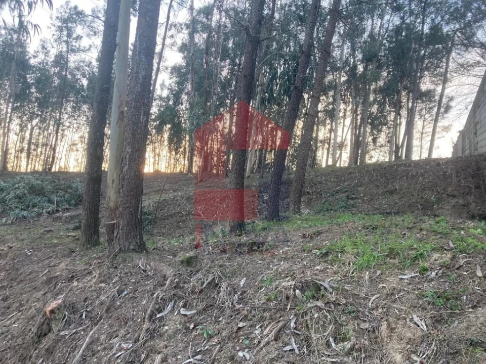 Terreno para Venda em Sabariz Foto 13