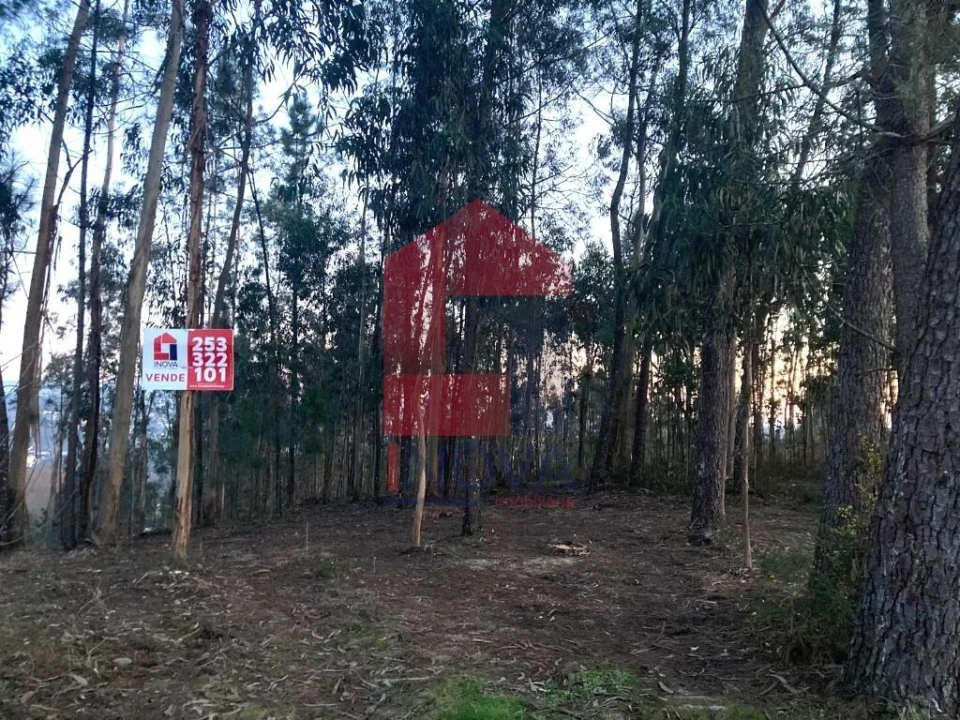 Terreno para Venda em Sabariz Foto 1