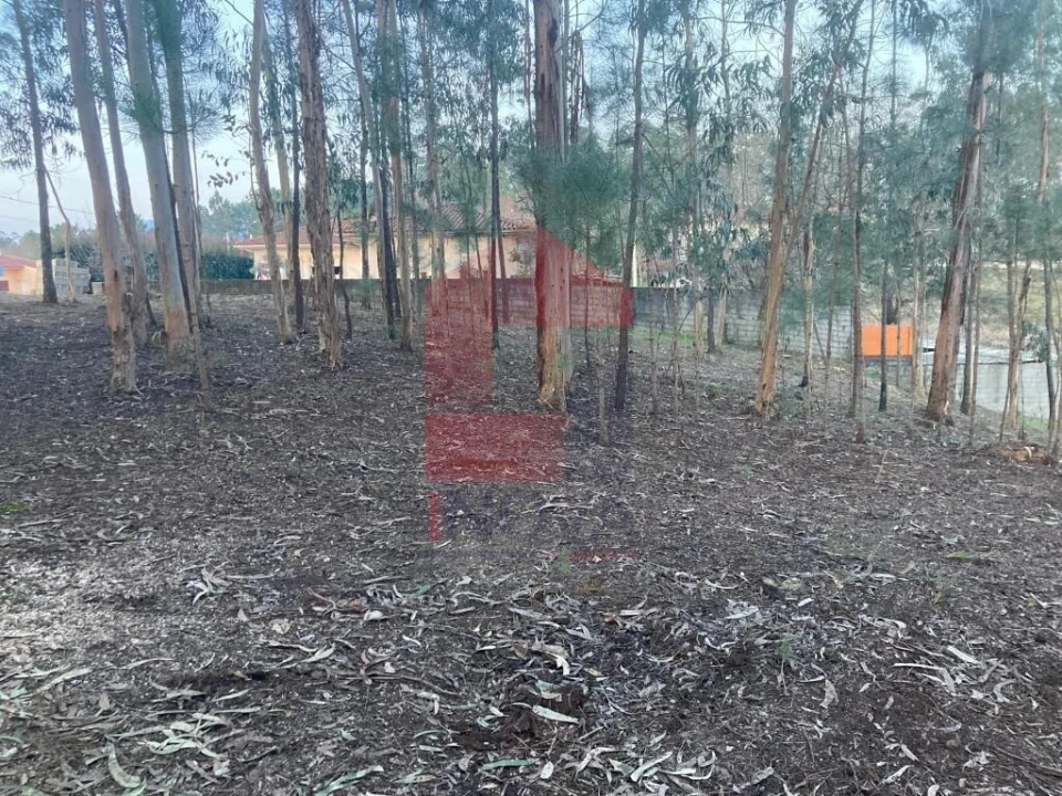 Terreno para Venda em Sabariz Foto 2