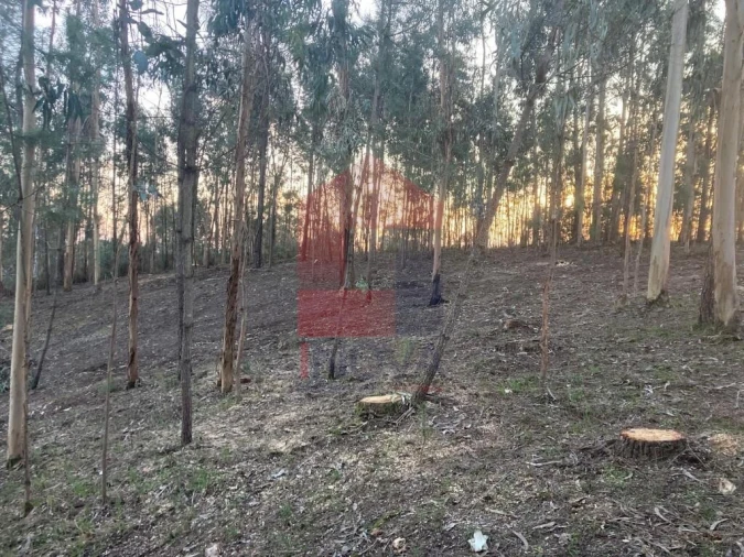 Terreno para Venda em Sabariz Foto 17