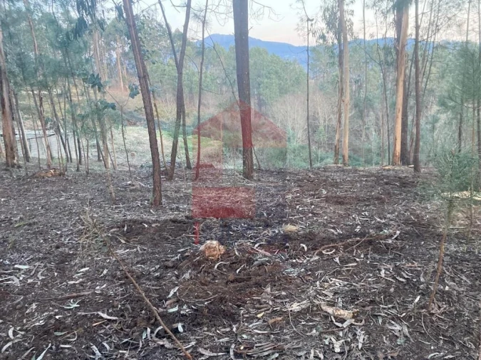 Terreno para Venda em Sabariz Foto 5