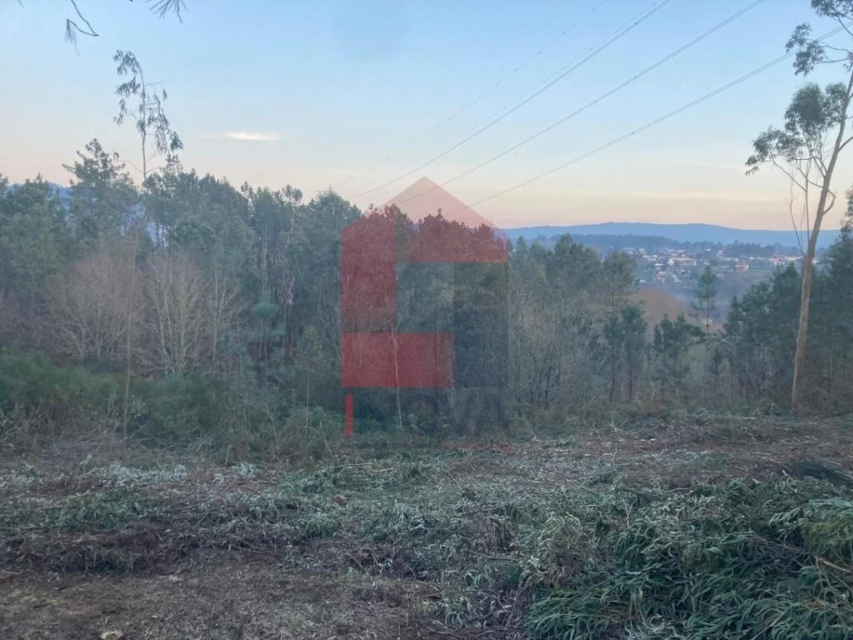 Terreno para Venda em Sabariz Foto 12