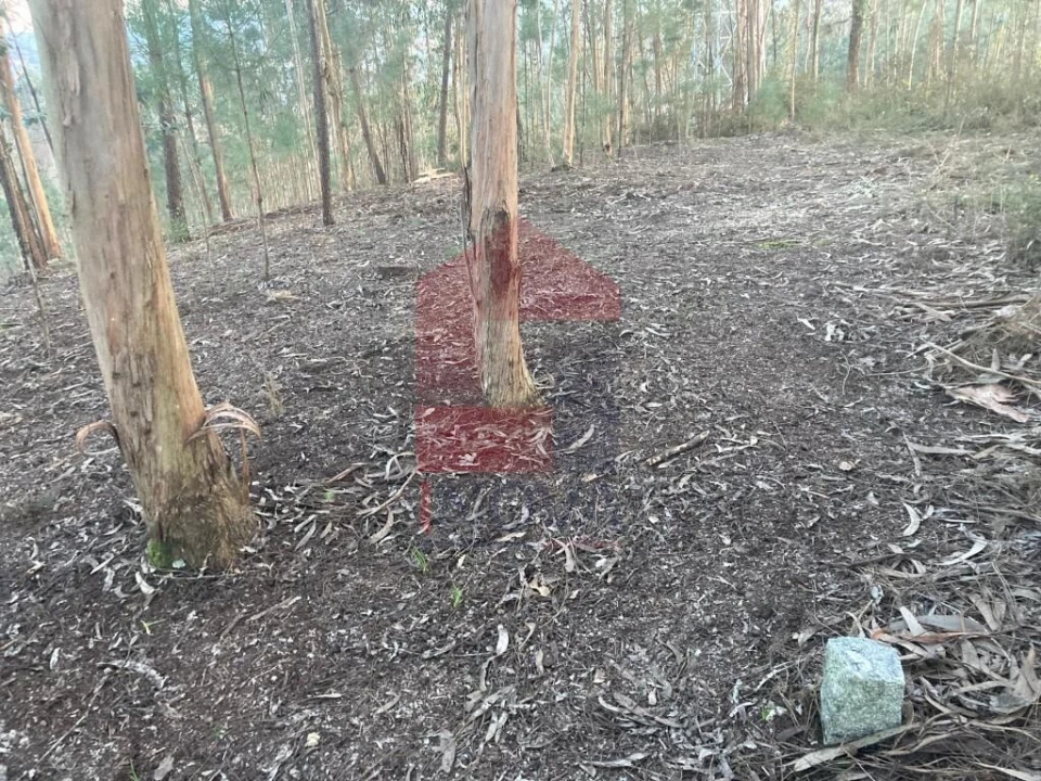 Terreno para Venda em Sabariz Foto 16