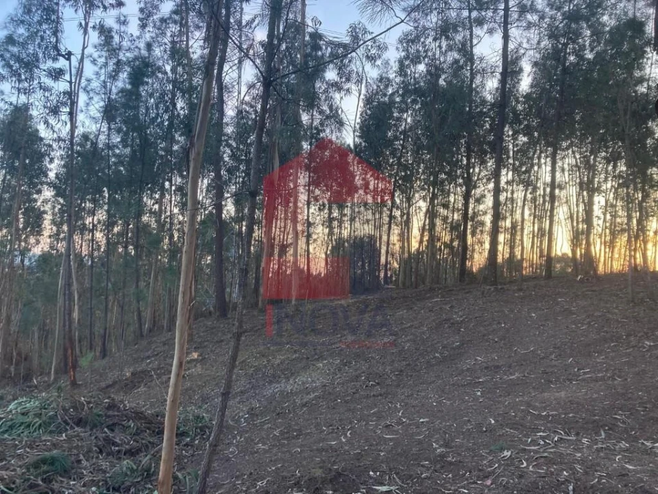 Terreno para Venda em Sabariz Foto 11