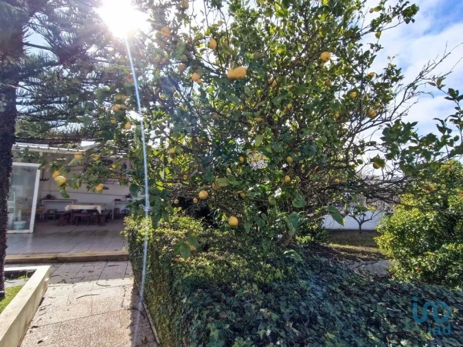 Moradia T3 para Venda em Miragaia e Marteleira Foto 7