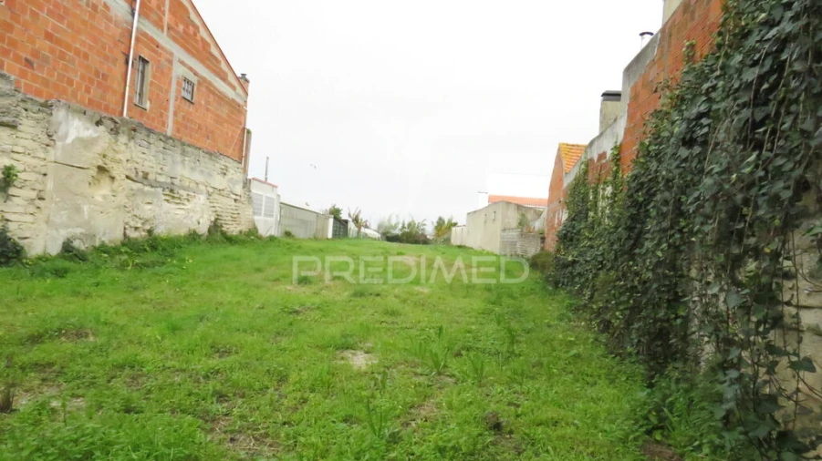 Terreno para Venda em Vagos e Santo António Foto 7