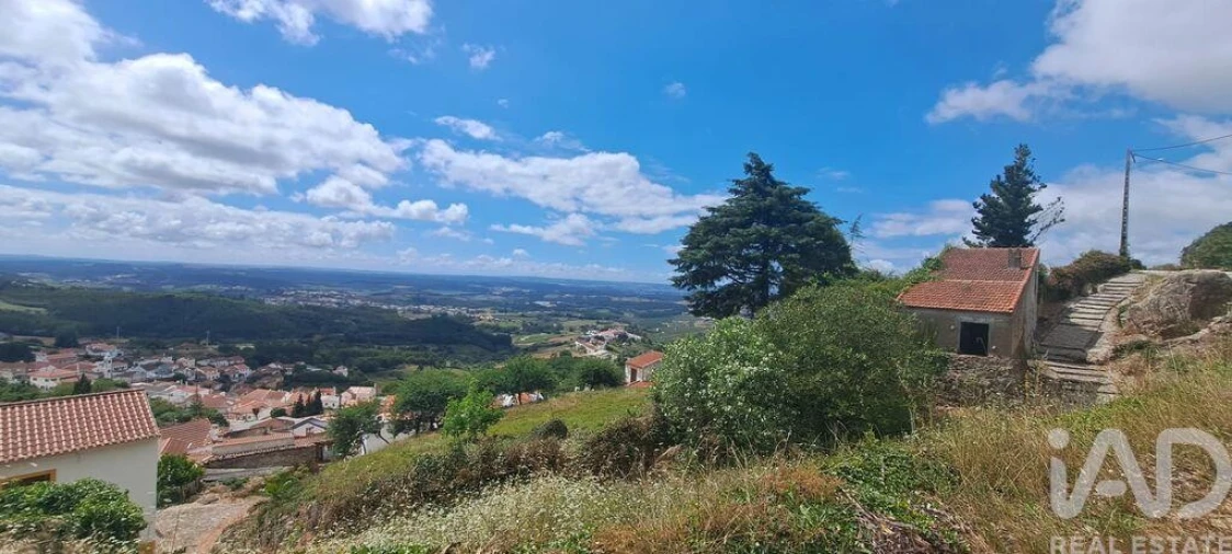 Terreno para Venda em Lamas e Cercal Foto 6