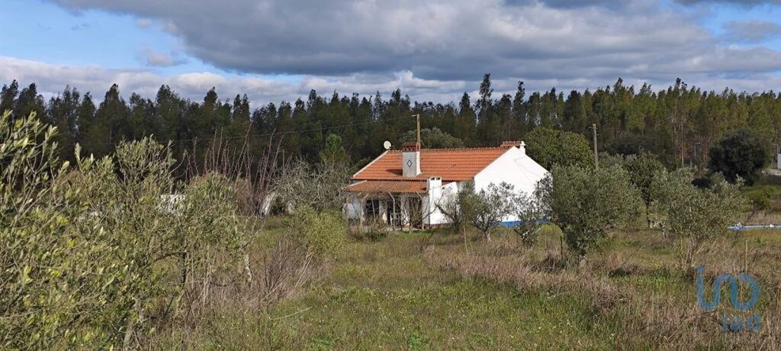 Moradia T3 para Venda em Branca Foto 2