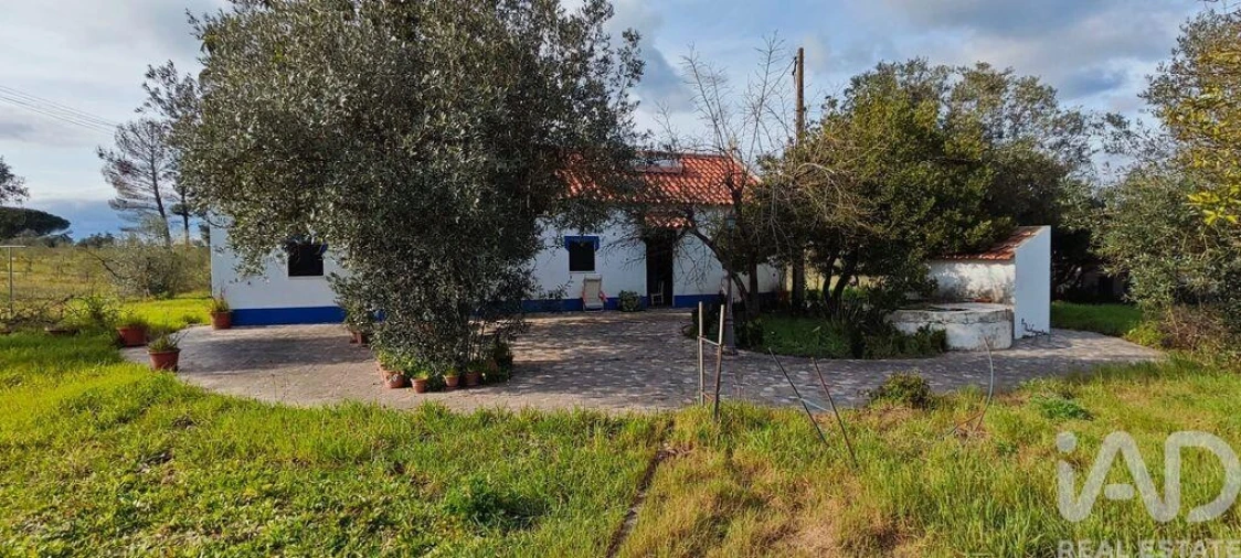 Moradia T3 para Venda em Branca Foto 25