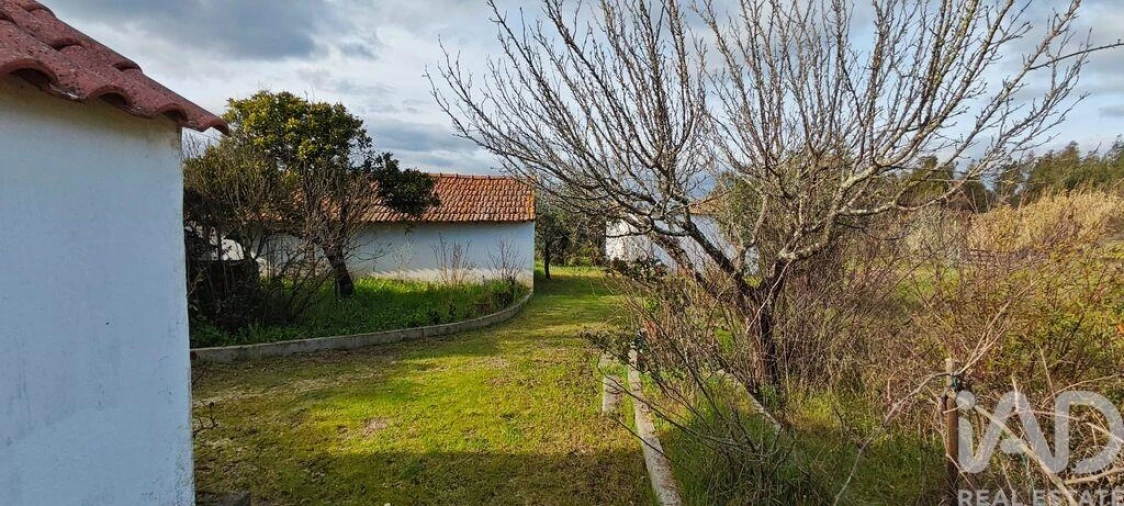 Moradia T3 para Venda em Branca Foto 22