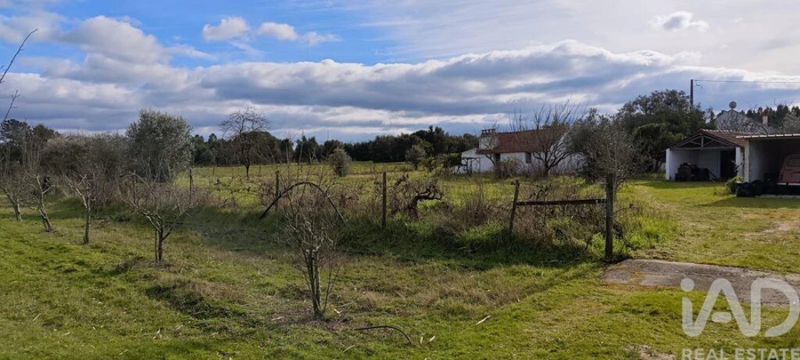 Moradia T3 para Venda em Branca Foto 23