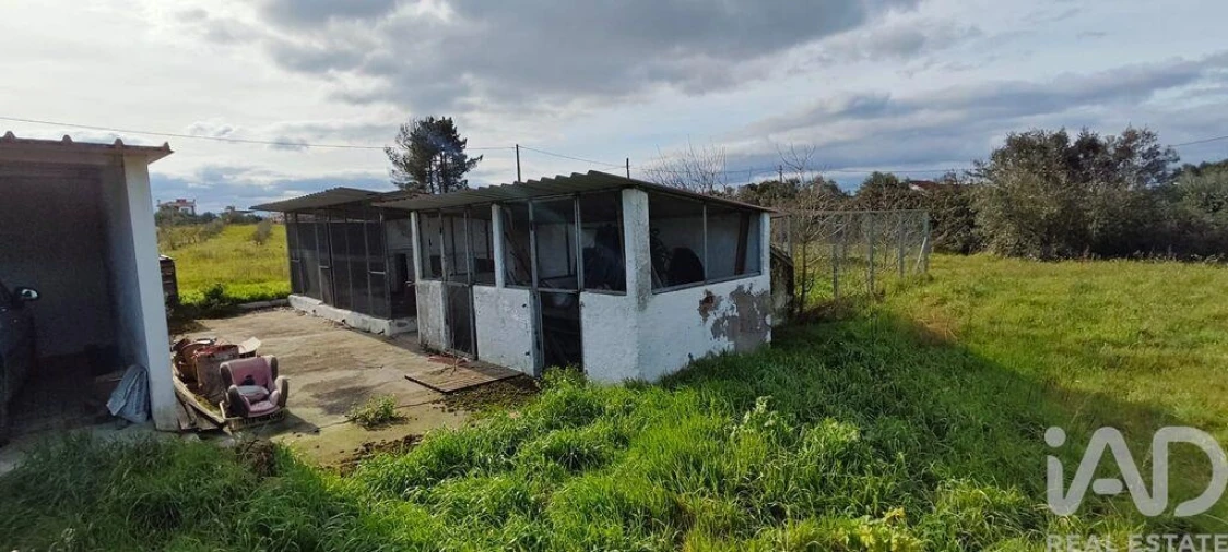 Moradia T3 para Venda em Branca Foto 20